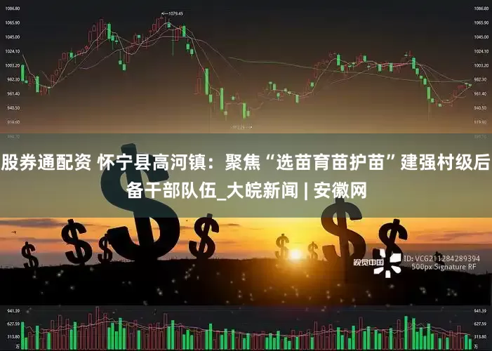股券通配资 怀宁县高河镇：聚焦“选苗育苗护苗”建强村级后备干部队伍_大皖新闻 | 安徽网