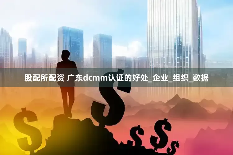 股配所配资 广东dcmm认证的好处_企业_组织_数据