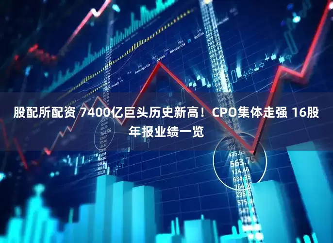 股配所配资 7400亿巨头历史新高!CPO集体走强 16股年报业绩一览