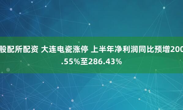 股配所配资 大连电瓷涨停 上半年净利润同比预增200.55%至286.43%